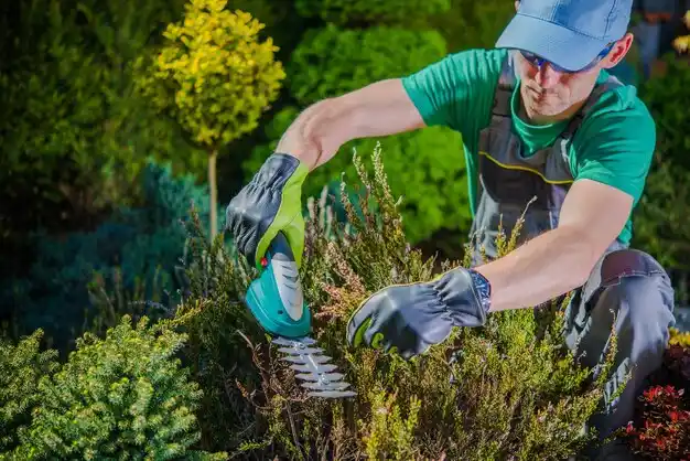 landscaping services Newfield Hamlet